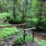 Hafentalrunde R u M Nußbaum