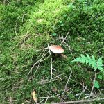 Hafentalrunde R u M Nußbaum WhatsApp Image 2021-07-22