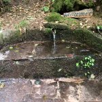 Hafentalrunde R u M Nußbaum WhatsApp Image 2021-07-22 at 20.53.42